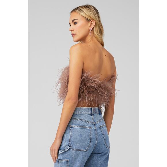 NWT Lamarque Zaina Strapless Feather Bustier in Mink Brown Top Size XS - Picture 3 of 5